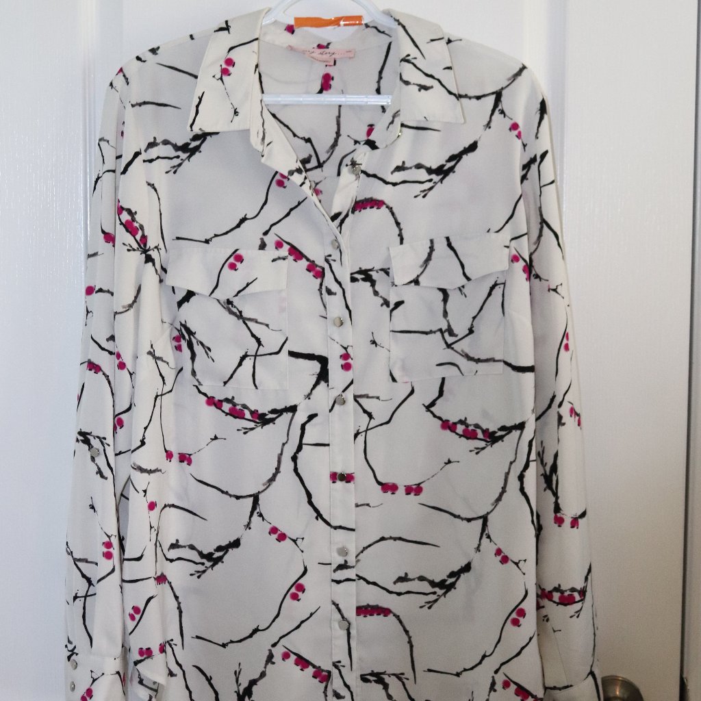 Size X Button Down Blouse